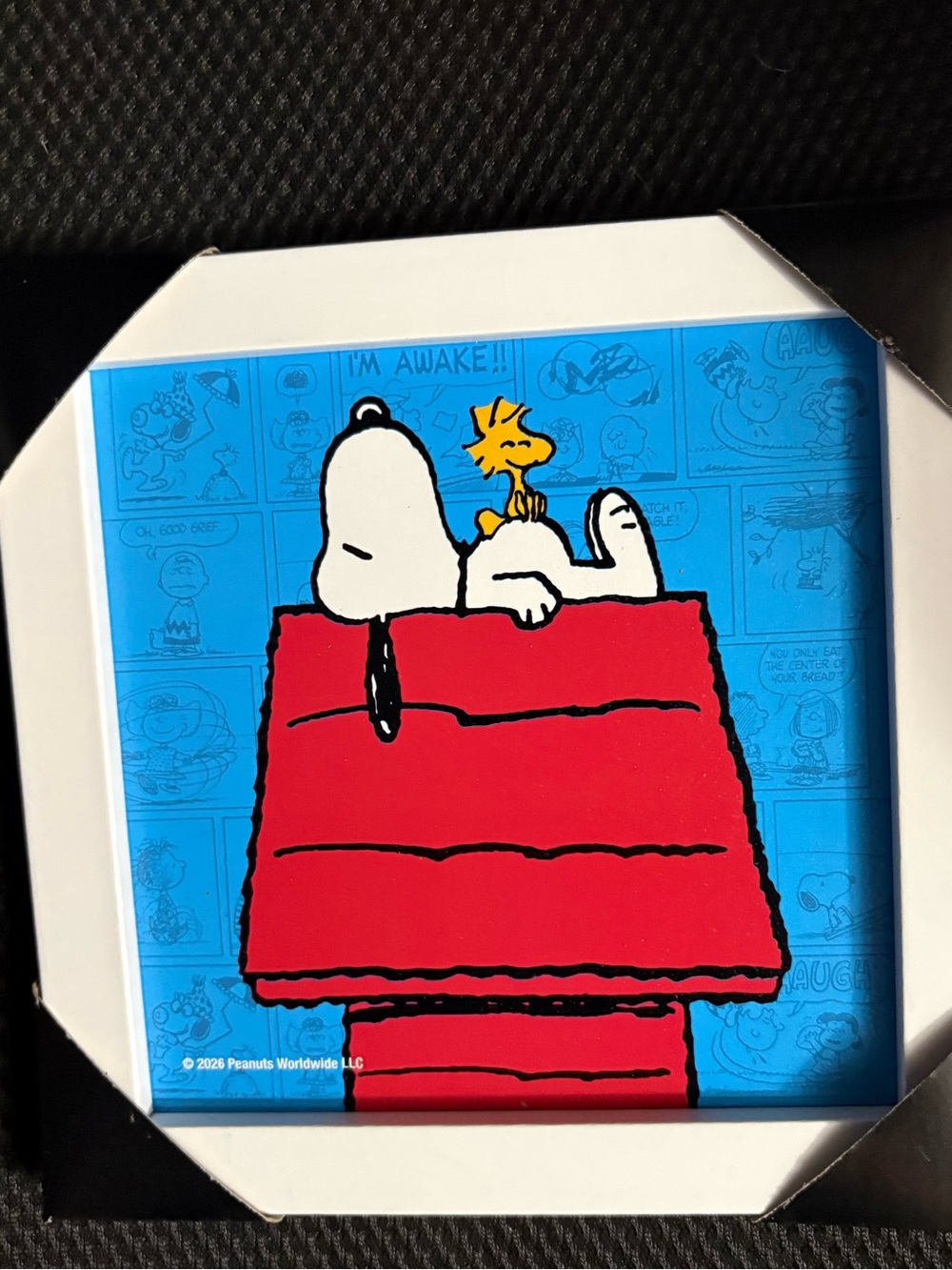 Peanuts Snoopy & Woodstock Red Doghouse Wall Art. NWT. - Picture 4 of 4